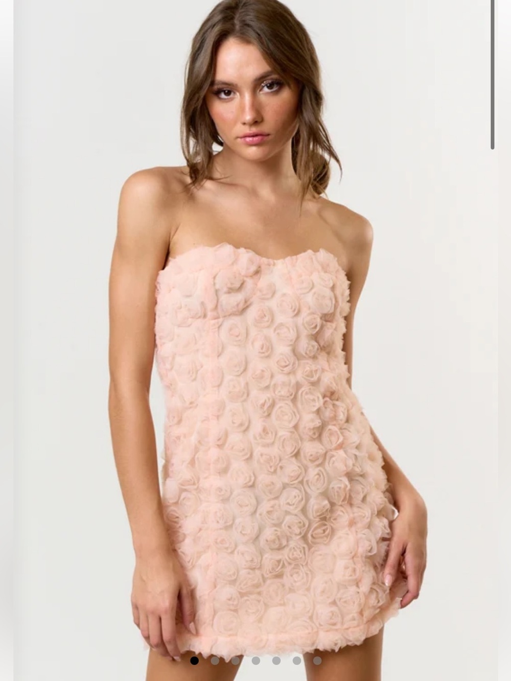 Blue Blush Strapless Rose Appliqué Mini Dress - Blush